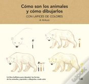 Capa do artigo Como Son Los Animales Y Como Dibujarlos Con Lapices De Color