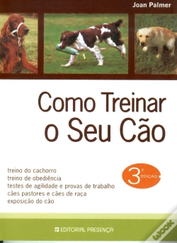 Capa do artigo Como Treinar o Seu Cão