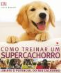 Como Treinar um Supercachorro - Preview