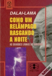 Capa do artigo Como Um Relâmpago Rasgando a Noite