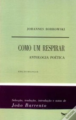 Capa do artigo Como um Respirar