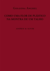 Como Uma Flor de Plástico na Montra de um Talho