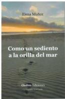 Como Un Sediento A La Orilla Del Mar