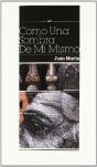 Como Una Sombra De Mí Mismo - Preview