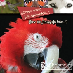 Capa do artigo ?Como Usan Los Animales...? (How Do Animals Use...?)