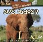 Como Usan Los Animales... Sus Oidos? - Preview