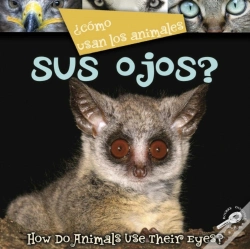 Capa do artigo Como Usan Los Animales... Sus Ojos?