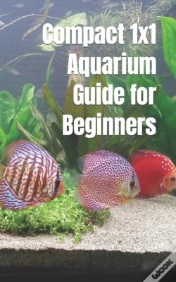 Capa do artigo Compact 1x1 Aquarium Guide For Beginners