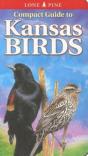 Compact Guide To Kansas Birds - Preview