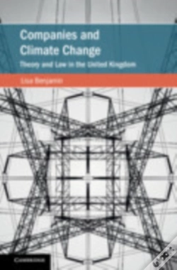 Capa do artigo Companies And Climate Change