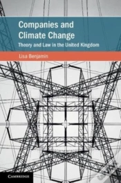 Capa do artigo Companies And Climate Change