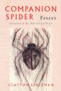 Companion Spider - Preview