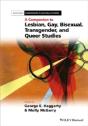 Companion To Lesbian Gay Bisexual Transg - Preview