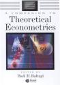Companion To Theoretical Econometrics - Preview