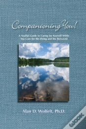 Capa do artigo Companioning You!