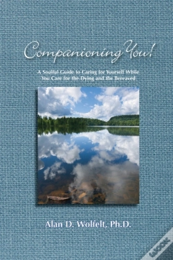 Capa do artigo Companioning You!