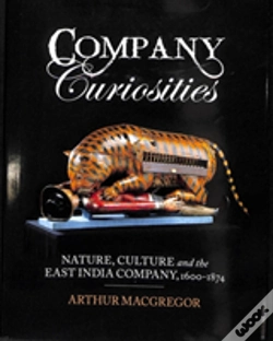 Capa do artigo Company Curiosities