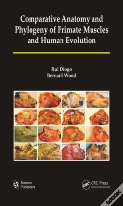 Capa do artigo Comparative Anatomy And Phylogeny Of Primate Muscles And Human Evolution
