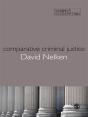 Comparative Criminal Justice - Preview