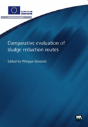 Comparative Evaluation Of Sludge Reduction Routes - Preview