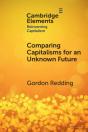Comparing Capitalisms For An Unknown Future - Preview
