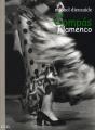 Compas Flamenco - Preview