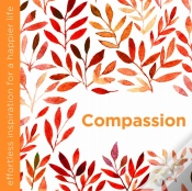 Capa do artigo Compassion