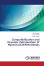Compatibilization And Dynamic Vulcanization Of Nylon(6,66)/Epdm Blends - Preview