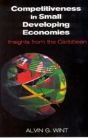 Competitiveness In Small Developing Economies - Preview