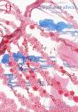 Complement Affectif T09 - Preview