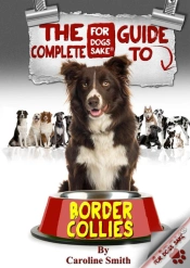 Capa do artigo Complete Guide To Border Collies