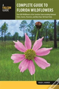 Capa do artigo Complete Guide To Florida Wildflowers