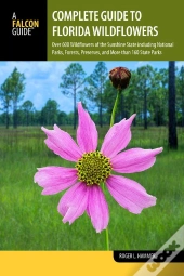 Complete Guide To Florida Wildflowers