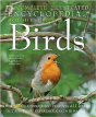 Complete Illustrated Encyclopedia Of British Birds - Preview