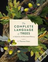 Complete Language Of Trees