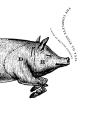 Complete Nose To Tail - Preview