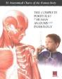 Complete Portfolio Of Human Anatomy & Pathology - Preview
