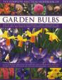 Complete Practical Handbook Of Garden Bulbs - Preview