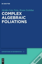Complex Algebraic Foliations