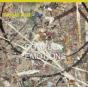Complex Emotions - Vinil - Preview