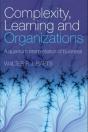 Complexity, Learning And Organizations - Preview