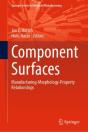 Component Surfaces - Preview