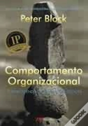 Capa do artigo Comportamento Organizacional