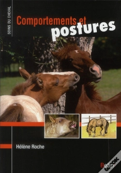 Capa do artigo Comportements Et Postures