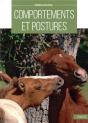 Comportements Et Postures - Preview