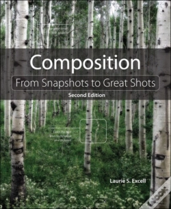 Capa do artigo Composition