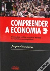 Capa do artigo Compreender a Economia
