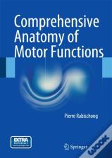 Comprehensive Anatomy Of Motor Functions