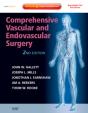 Comprehensive Vascular And Endovascular Surgery - Preview