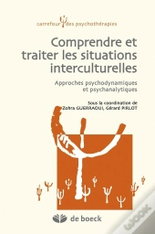 Comprendre Et Traiter Les Situations Interculturelles ; Approches Psychodynamiques Et Psychanalytiques